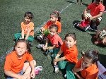 Boletines