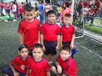 Boletines