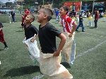 Boletines