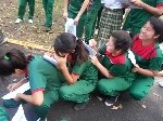 Boletines