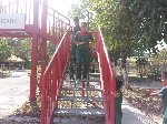 Boletines
