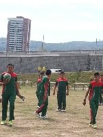 Boletines