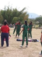 Boletines