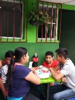 Boletines