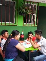 Boletines
