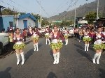 Boletines