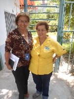 Boletines