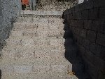 Boletines