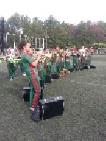 Boletines