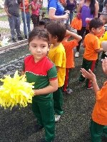 Boletines