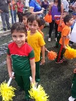 Boletines
