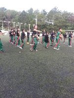 Boletines