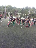 Boletines