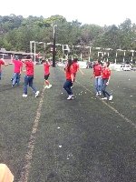 Boletines