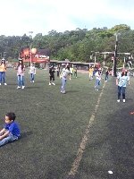 Boletines