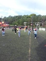 Boletines