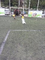 Boletines