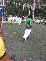 Boletines