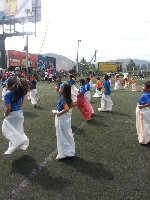 Boletines