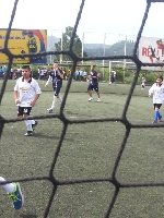 Boletines