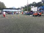 Boletines
