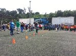 Boletines