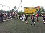 Boletines