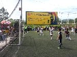 Boletines