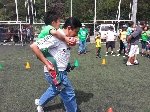 Boletines