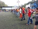 Boletines
