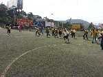 Boletines