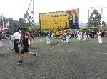 Boletines