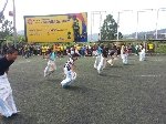 Boletines
