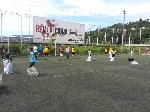 Boletines