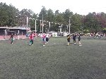 Boletines