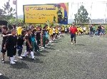 Boletines
