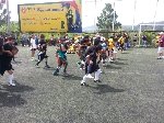 Boletines