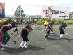 Boletines
