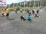 Boletines