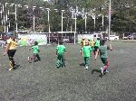 Boletines