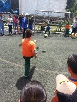 Boletines