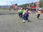Boletines