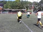 Boletines