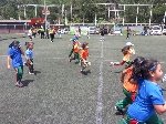 Boletines