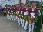 Boletines