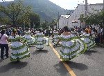 Boletines