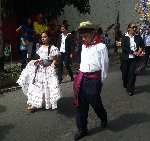 Boletines