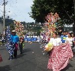 Boletines