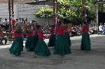 Boletines
