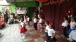 Boletines